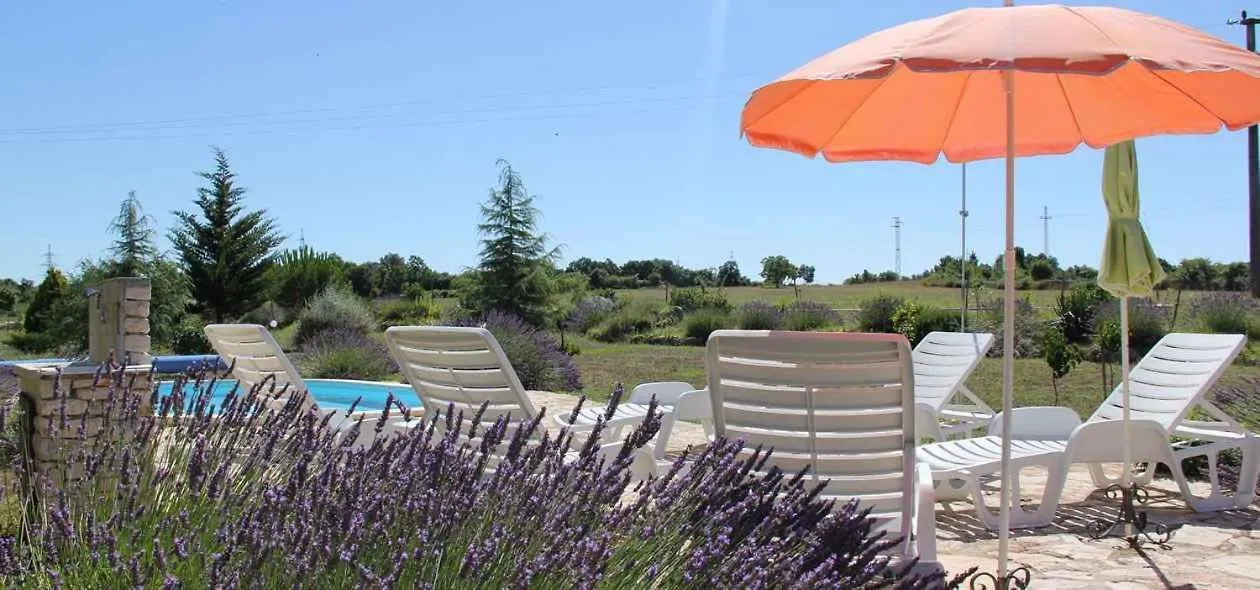 Holiday Home In Dignano Vodnjan